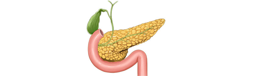 췌장·담도암센터 상단 이미지