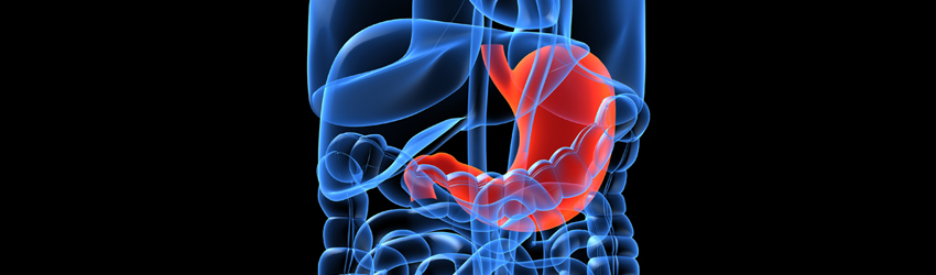 위장관외과 상단 이미지