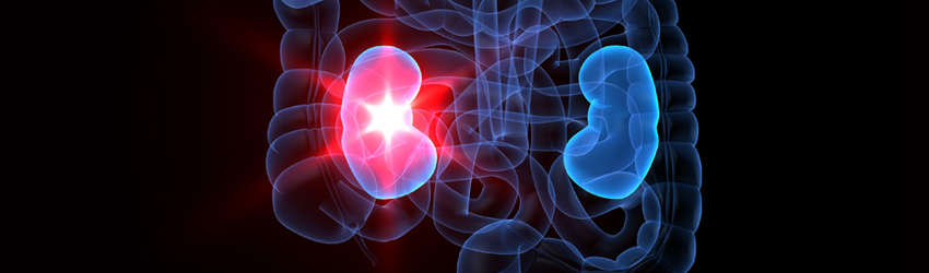 신장내과 상단 이미지