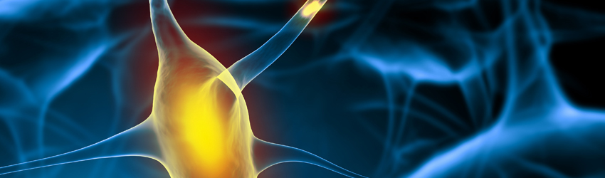 신경과 상단 이미지