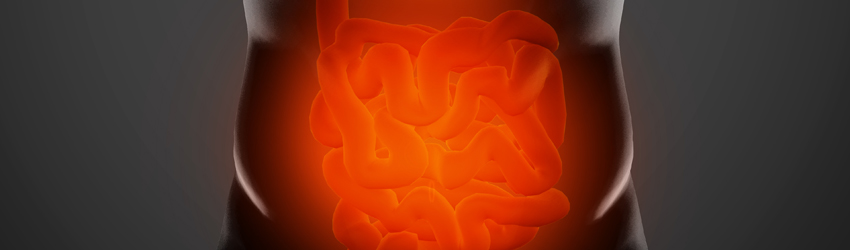 대장항문외과 상단 이미지