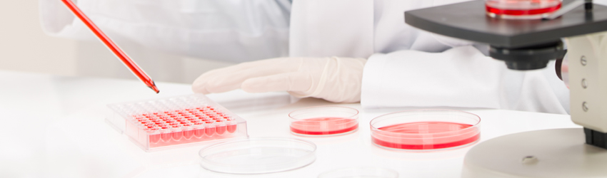 진단검사의학과 상단 이미지