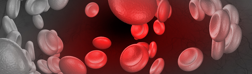 혈액종양내과 상단 이미지