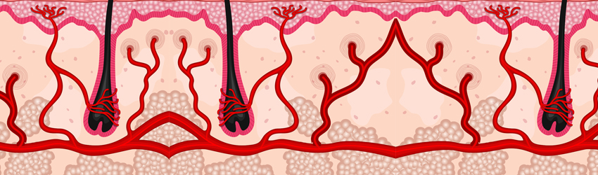 모발이식센터 상단 이미지
