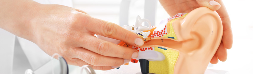 이비인후과 상단 이미지