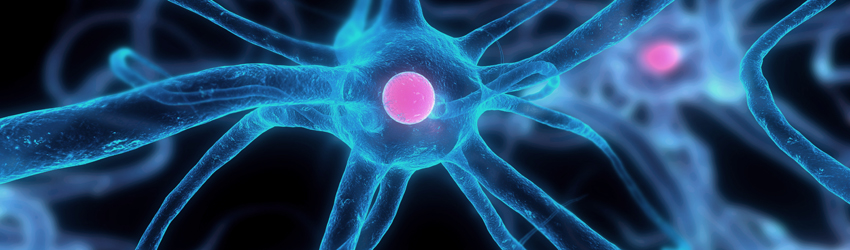 뇌하수체클리닉 상단 이미지