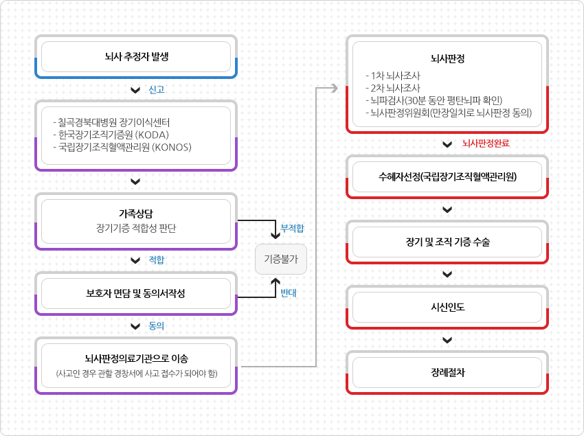 뇌사 판정 과정