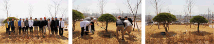 식목일 기념식수 사진