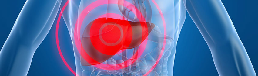 담석증클리닉 상단 이미지