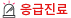 응급진료